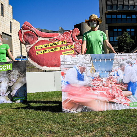 Γερμανία, Κορωνοϊός