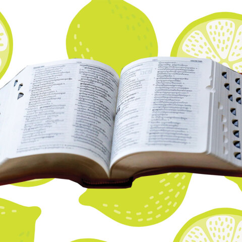 Το νέο λεξικό του καλοκαιριού