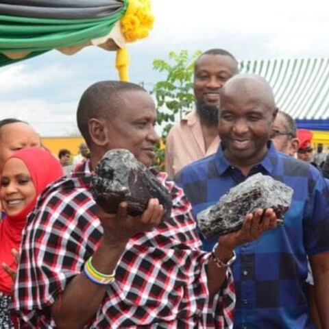 Τανζανίτες