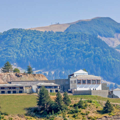 Grand Forest Metsovo 