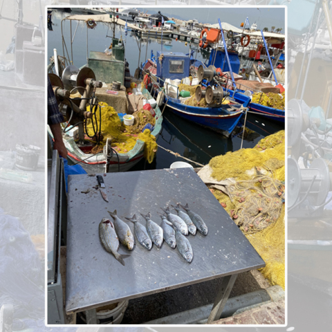 Ο ΠΛΑΝΕΥΤΗΣ