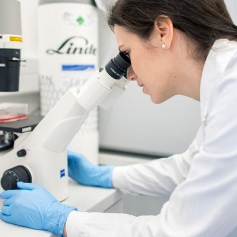 Επιστήμονες - Έρευνα