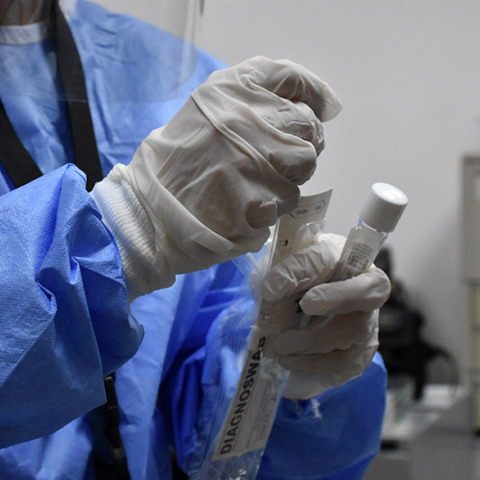 Κορωνοϊός, κρούσματα 