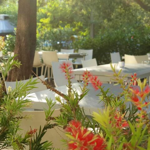 Vassilenas Parkside: μια μικρή όαση στην πλατεία Μαδρίτης