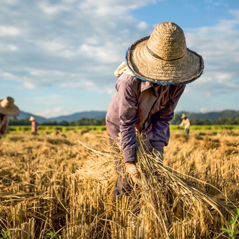 H L’Oréal αποκαλύπτει την επόμενη γενιά των φιλόδοξων στόχων της για τη βιωσιμότητα προς το 2030