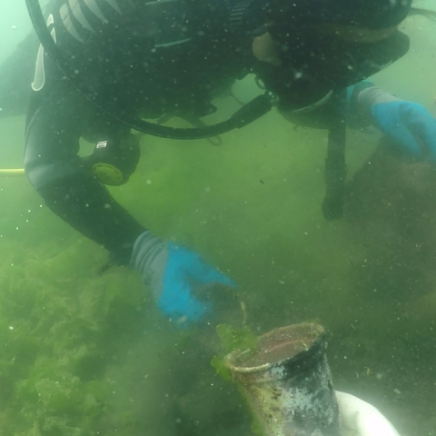 P&G - ΑΒ Βασιλόπουλος: καθαρότερες ελληνικές θάλασσες & ακτές