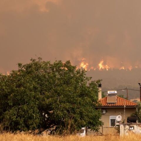 Yπό έλεγχο φαίνεται πως είναι η φωτιά στην Κάρυστο 