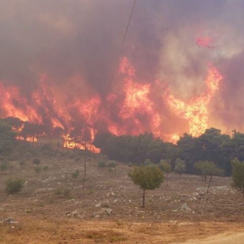 Φωτιά στην Κάρυστο 