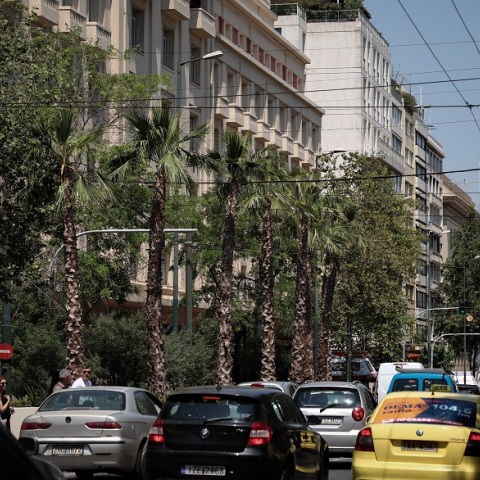 Φοίνικες στην Πανεπιστημίου