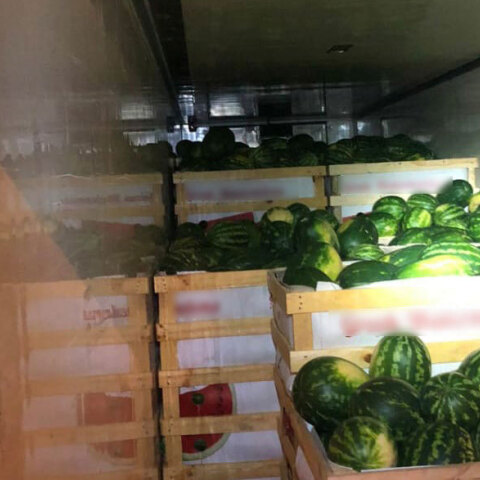 Σε φορτηγό με καρπούζια έκρυβε μετανάστες σπείρα που εξαρθρώθηκε από την ΕΛ.ΑΣ