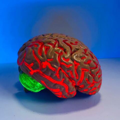 Σοβαρές εγκεφαλικές διαταραχές εμφανίζουν ασθενείς του κορωνοϊού με ήπια συμπτώματα 