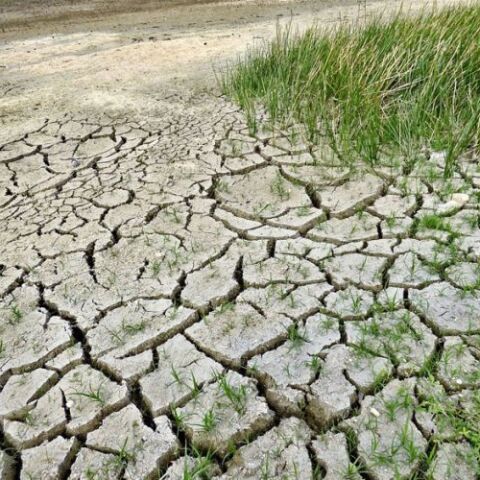 Κλιματική αλλαγή