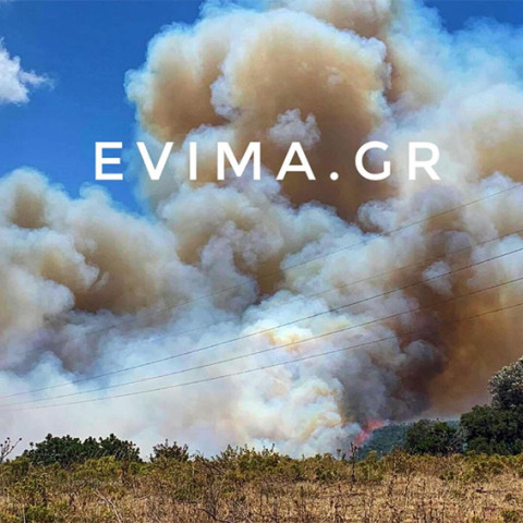 Εύβοια - Φωτιά: Εκκενώθηκε προληπτικά οικισμός στην Κάρυστο 