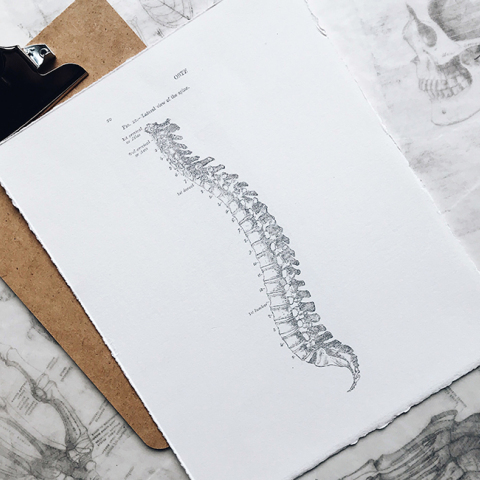 Καινοτόμες Ενδοσκοπικές και Ελάχιστα Επεμβατικές Χειρουργικές Τεχνικές για την αντιμετώπιση των παθήσεων της Σπονδυλικής Στήλης