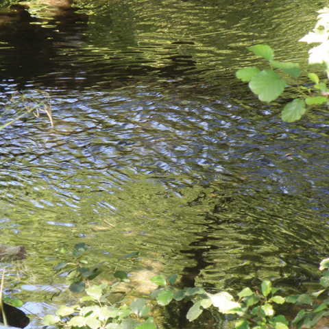 Ο Αχέροντας του Αλκίνοου Μπούκουρα