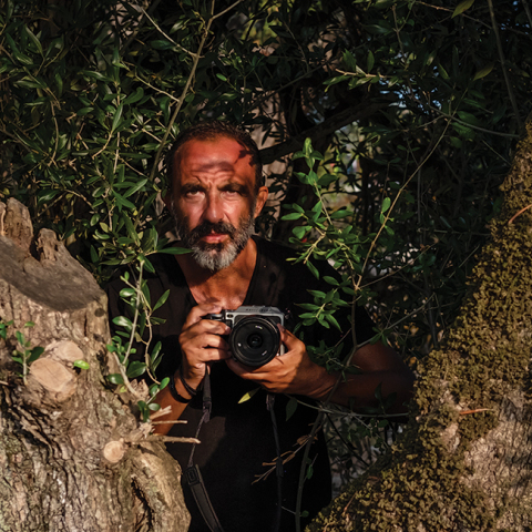 Η Ιθάκη του Νίκου Αλιάγα