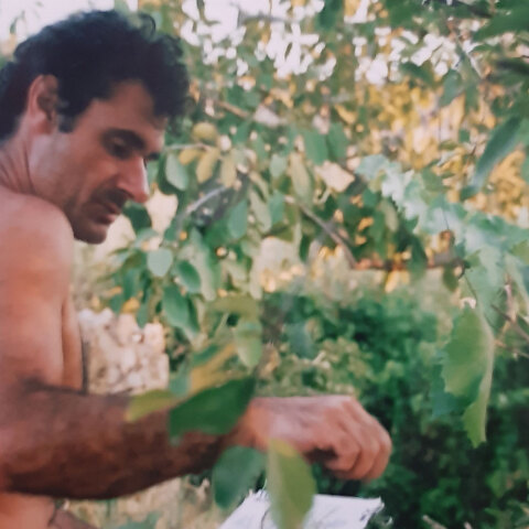 Η Σάμος του Δημήτρη Σεβαστάκη