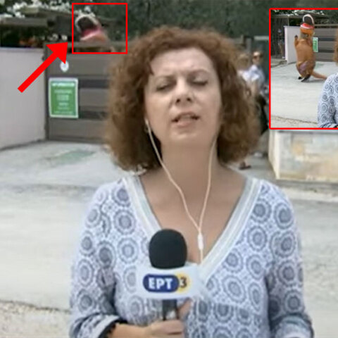 Το live της ΕΡΤ από τη Χαλκιδική είχε και... δεινόσαυρο