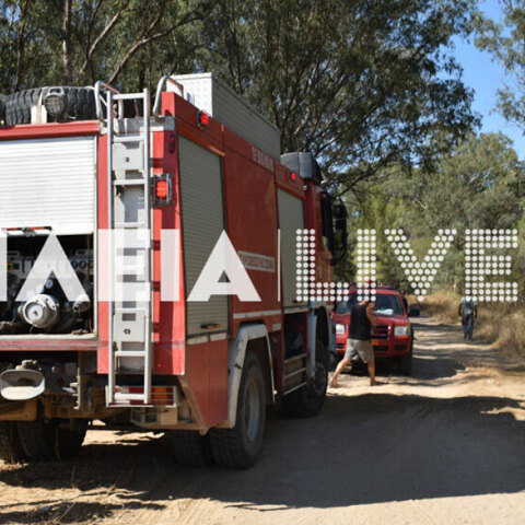 Επί ποδός οι πυροσβέστες στην Ηλεία - Ξέσπασε δασική πυρκαγιά στο Βαρθολομιό