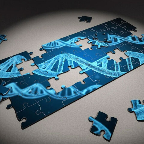 Αγώνας δρόμου να βρεθεί το εμβόλιο για τον κορωνοϊό