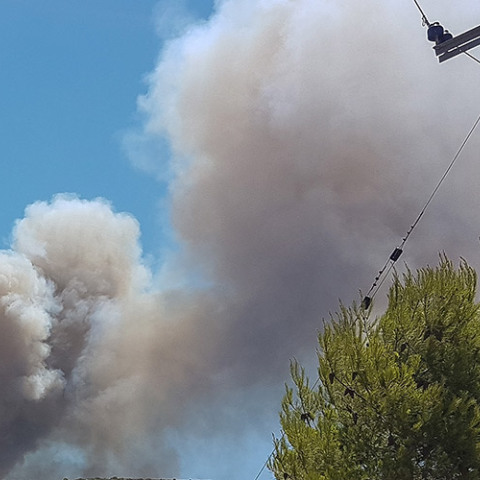 ΠΥΡΚΑΓΙΑ ΣΕ ΔΑΣΙΚΗ ΕΚΤΑΣΗ ΣΤΟ ΛΑΥΡΙΟ