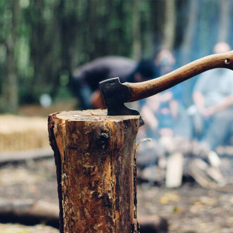 Δέντρο καταπλάκωσε και σκότωσε 65χρονο στην Ευρυτανία