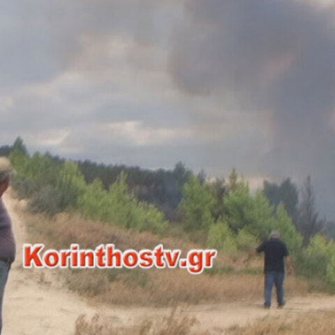 Επί ποδός οι πυροσβέστες στην Κορινθία - Ξέσπασε δασική πυρκαγιά στο Ελληνοχώρι