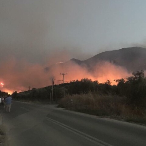 Βασιλειάδης: Ο Τόσκας τα ήξερε όλα και με αποστράτευσε