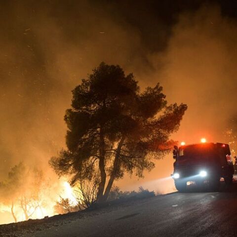 Δασική πυρκαγιά