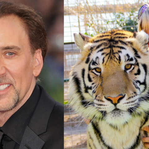Nicolas Cage and Joe Exotic