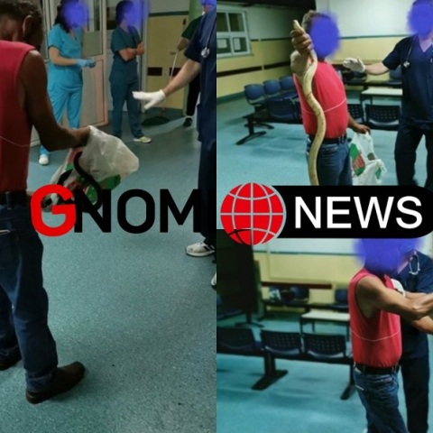 Άνδρας πήγε στο νοσοκομείο με ένα φίδι στο χέρι