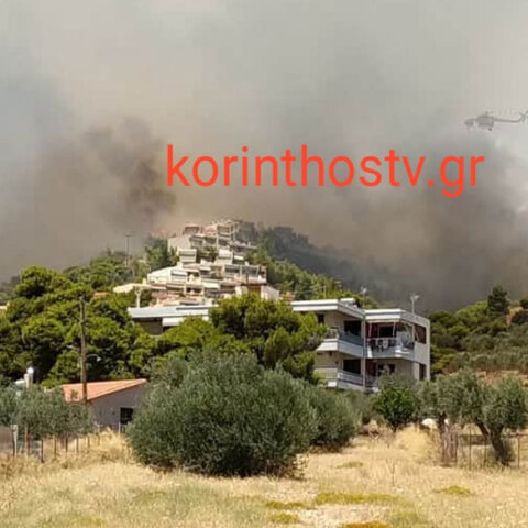 Φωτιά στις Κεχριές Κορινθίας: Σε πύρινο κλοιό κατοικίες - Μάχη με τις φλόγες συνεχίζουν να δίνουν οι πυροσβέστες