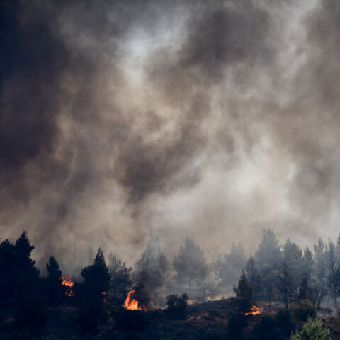 Φωτιά στις Κεχριές Κορινθίας: Τι είναι και πώς σχηματίστηκε το νέφος pyrocumulus