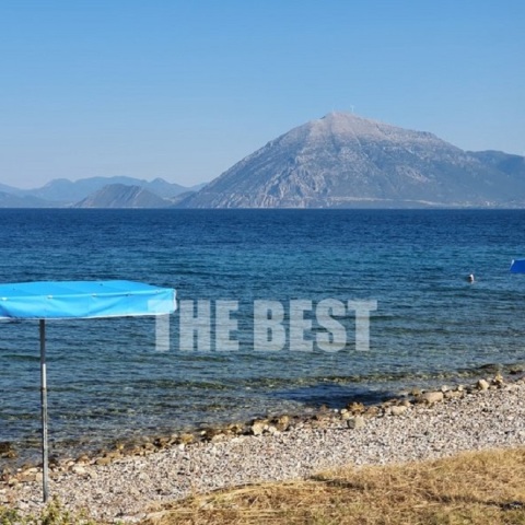 Ομπρέλα σε απαγορευμένη παραλία