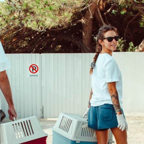 Save a Greek Stray: Η σπουδαία δράση της στη Μήλο