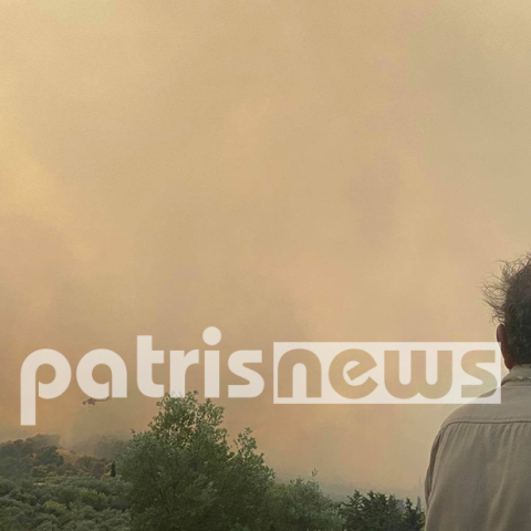 Φωτιά στην Ηλεία