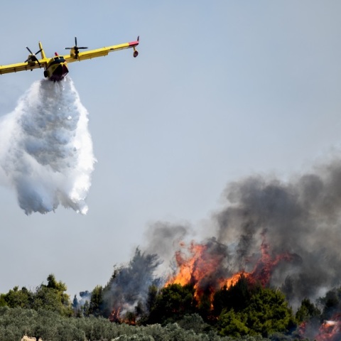 Φωτιά στις Κεχριές Κορινθίας 