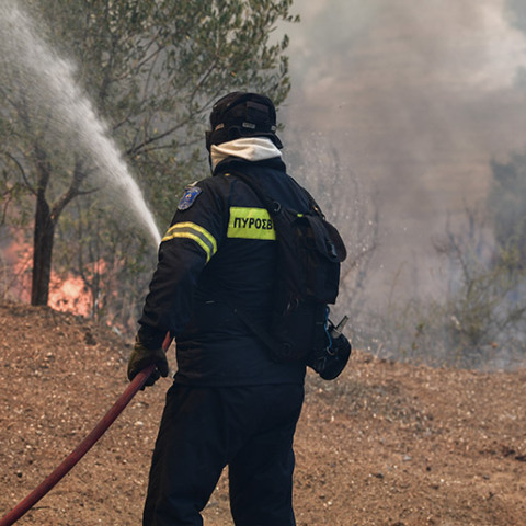 ΠΥΡΚΑΓΙΑ ΣΕ ΔΑΣΙΚΗ ΕΚΤΑΣΗ