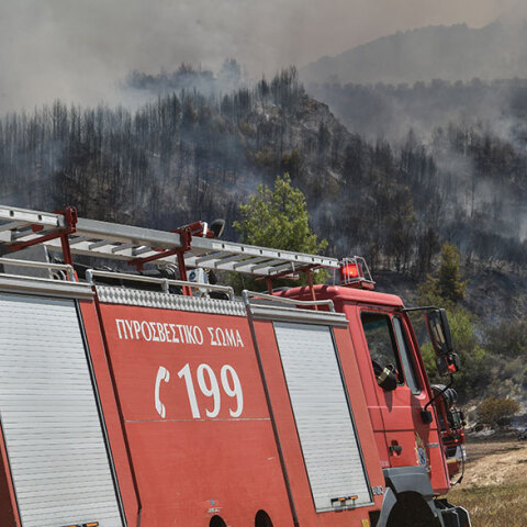 Πυρκαγιές στην Ηλεία
