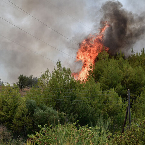 Φωτιά στην Κεφαλονιά