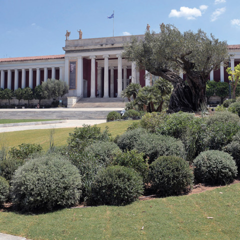 Ο νέος κήπος του Εθνικού Αρχαιολογικού Μουσείου