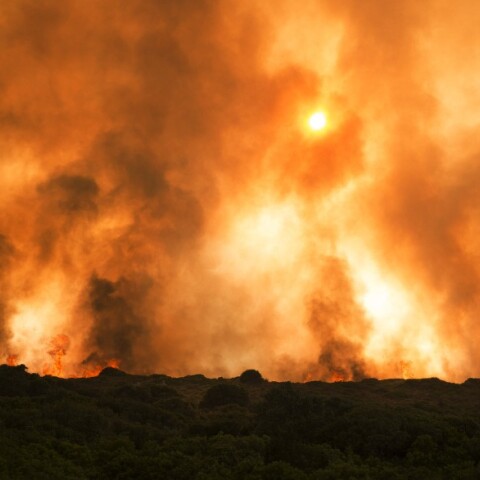 Κύθηρα: Μήνυση για τη φωτιά του 2017 κατέθεσε ο Στρ. Χαρχαλάκης