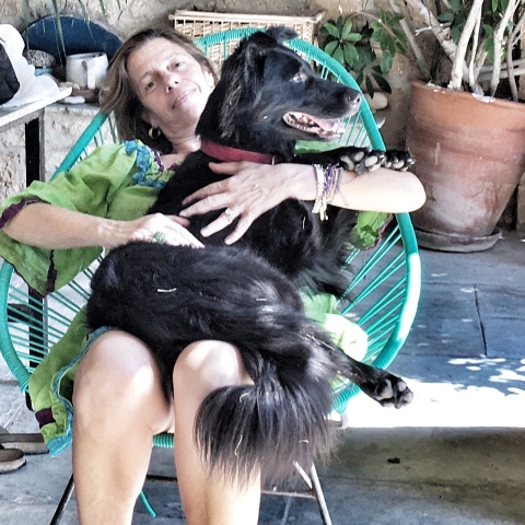 Ίρις Κρητικού 