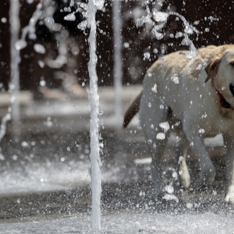 Τα κύρια χαρακτηριστικά του καιρού σήμερα, Κυριακή 2 Αυγούστου 2020 