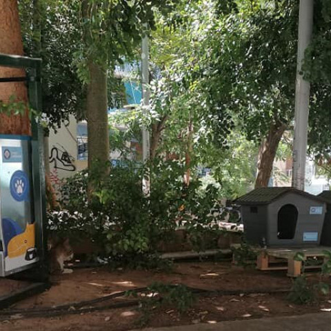 Δήμος Αθηναίων: Νέο πρόγραμμα για τα αδέσποτα - Σπιτάκια για γάτες σε γειτονιές της πόλης