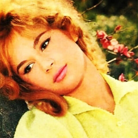 Αλίκη Βουγιουκλάκη 