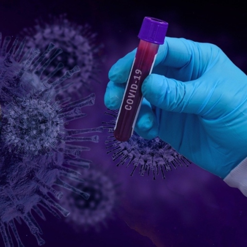 © Fernando Zhiminaicela / Pexels