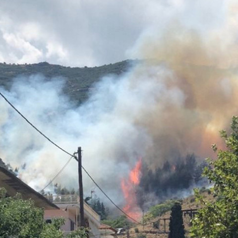 Φωτιά στην Αταλάντη 