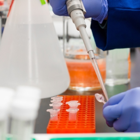 Εννέα σημεία που πλέον οι ειδικοί του Harvard γνωρίζουν σήμερα για την COVID-19