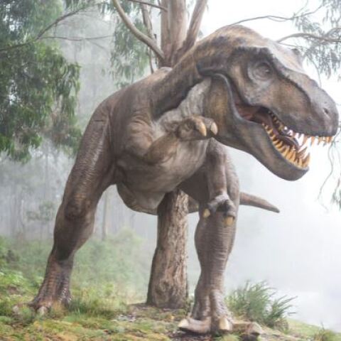 Τυραννόσαυρος 